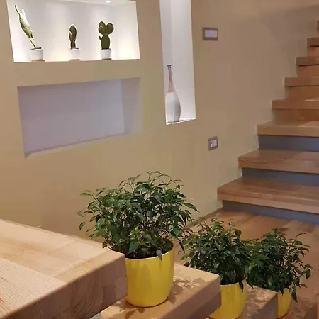 Green Guest House 게스트하우스 3*