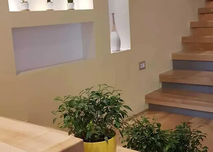 Green Guest House Pensión 3*